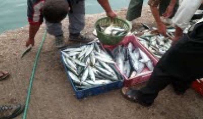 Marokko en EU niet akkoord over visserijovereenkomst 