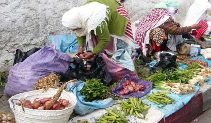 In Marokko maakt microkrediet armer op middellange termijn