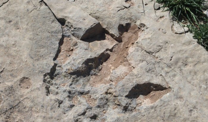 Dinosaurusafdrukken ontdekt in Marokko