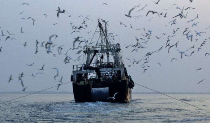 Chinese vissersboten in Marokkaanse wateren