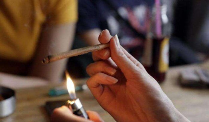 Marokko: legalisering cannabis opnieuw op tafel