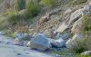 Aardverschuiving op weg Chefchaouen-Al Hoceima