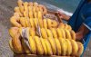 Waarschuwing voor beignets op stranden Tanger