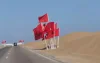 België dichtbij erkenning Marokkaanse Sahara 