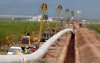 Bos in Tanger gekapt voor windenergieproject