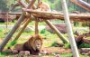 Dierentuin Ain Sebaa Casablanca