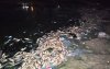 Zeldzaam fenomeen op strand Chefchaouen 