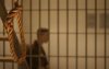 Marokko onderhandelt doodstraf Marokkanen in Irak