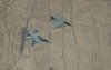 F-16's en Rafales vliegen samen boven Marokko