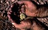 Grootschalige illegale goudwinning opgerold in Marokko
