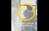Koning Mohammed VI gespot tijdens wandeling in Dubai Mall (video)