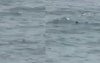 Lichaam vermiste tiener gevonden in zee bij Fnideq