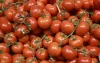 Marokkaanse tomatenexport loopt vast in Rusland 
