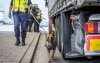 Nederland: Marokkaanse migranten aangetroffen in Hoek van Holland