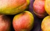 Marokko breekt historisch record met mango's