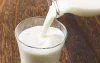 Marokkaanse regering: "Melk veilig ondanks tuberculose"