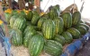 Watermeloenproductie problematisch in Marokko