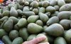 Marokko domineert wereldwijde avocadomarkt