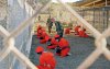 Guantanamo 