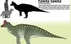 Opmerkelijke dinosaurusvondst in Marokko verbreekt alle theorieën