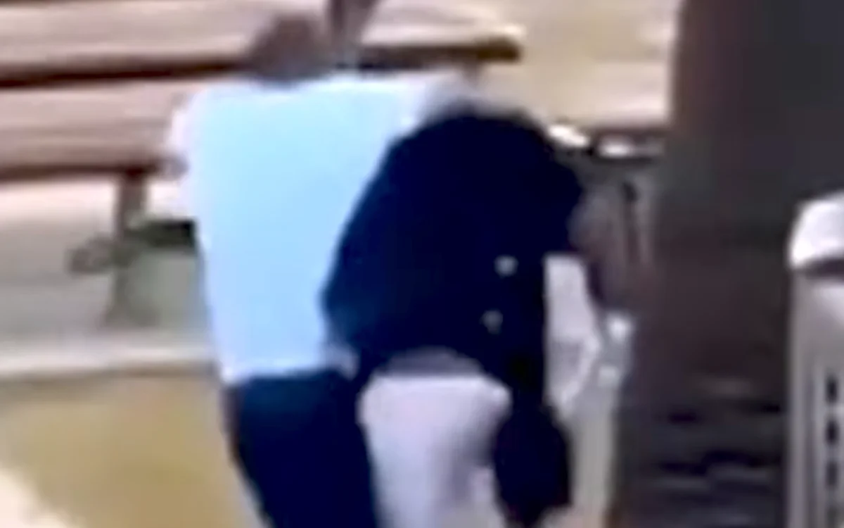 Ahmed al Ahmed, held in Sydney, overmeestert schutter met blote handen (video)