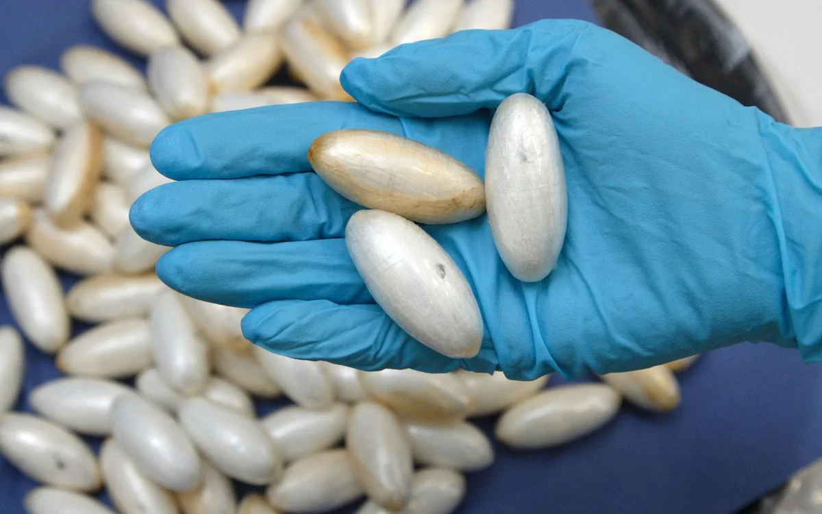 Gezochte Algerijn met drugscapsules in maag gepakt in Marokko