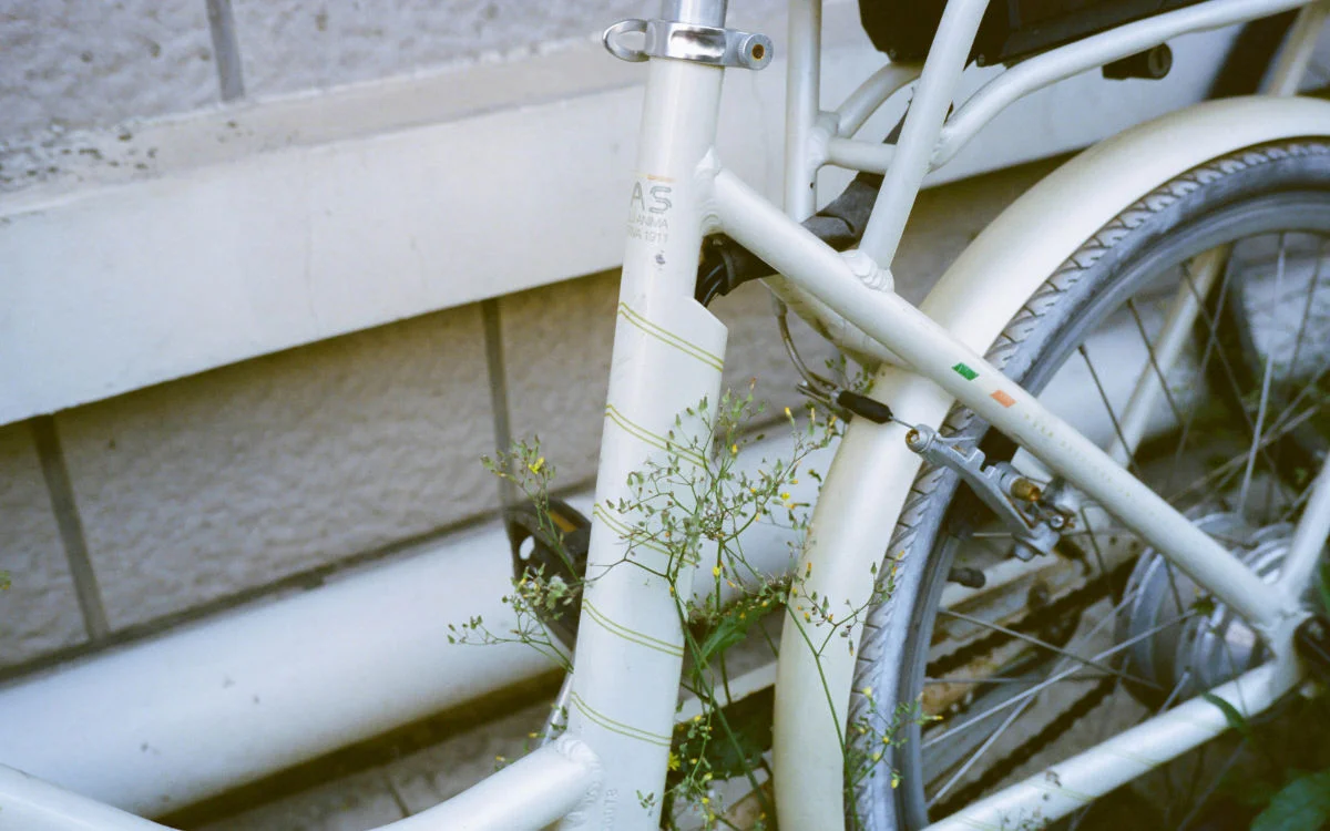Hoge Veluwe stuurt 750 witte fietsen naar Tetouan