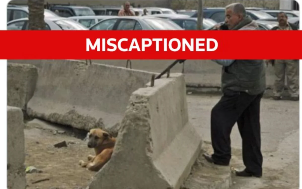 WK-leugen gaat viraal: schokkende foto hondenbloedbad in Marokko is nep 