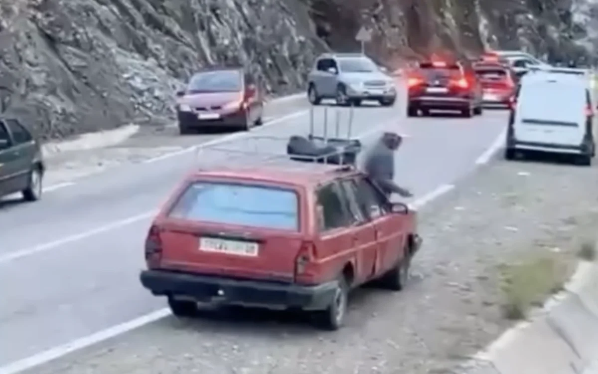 Gewapende man legt verkeer naar Al Hoceima lam 