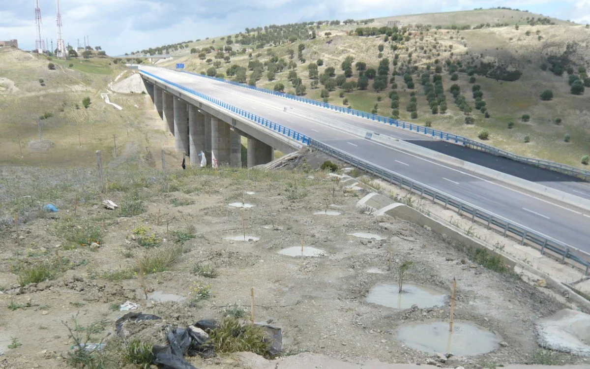 Mega-investering in Nador: 10 miljard dirham voor nieuwe snelwegen 