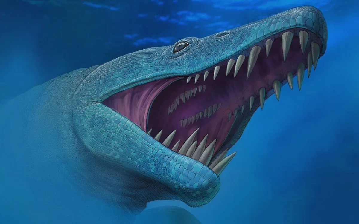 Prehistorisch superroofdier ontdekt in Marokko