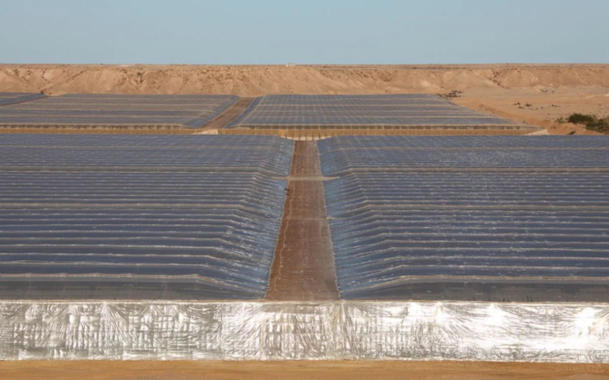 EU stemt nieuw handelsdeal met Marokko inclusief Sahara 