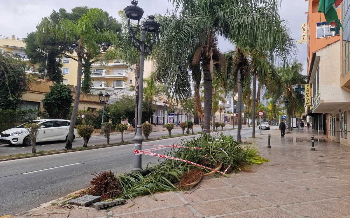 Drama aan de Costa del Sol: Marokkaanse verpletterd door omvallende boom 