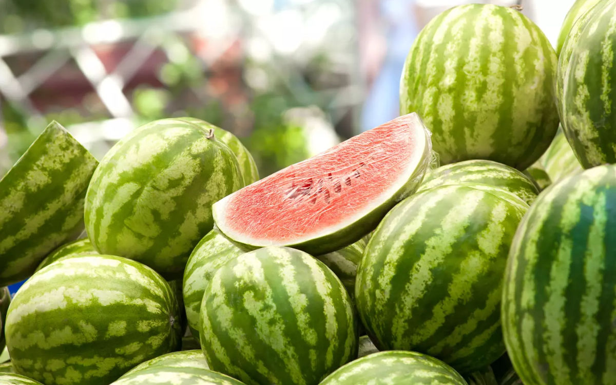 Watermeloenen: Marokko stormt top drie van Europa binnen