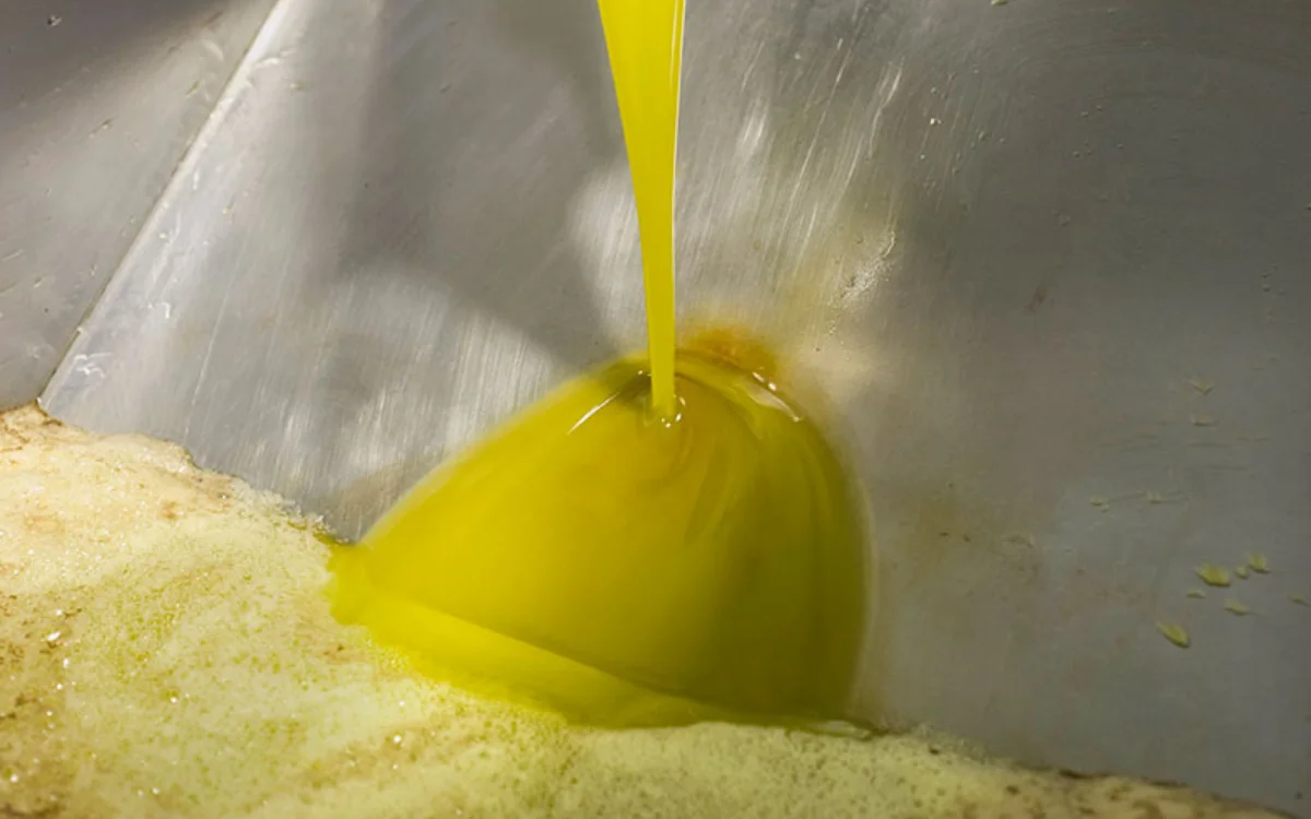 Prijsschok in Marokko: olijfoliepersing leidt tot protest