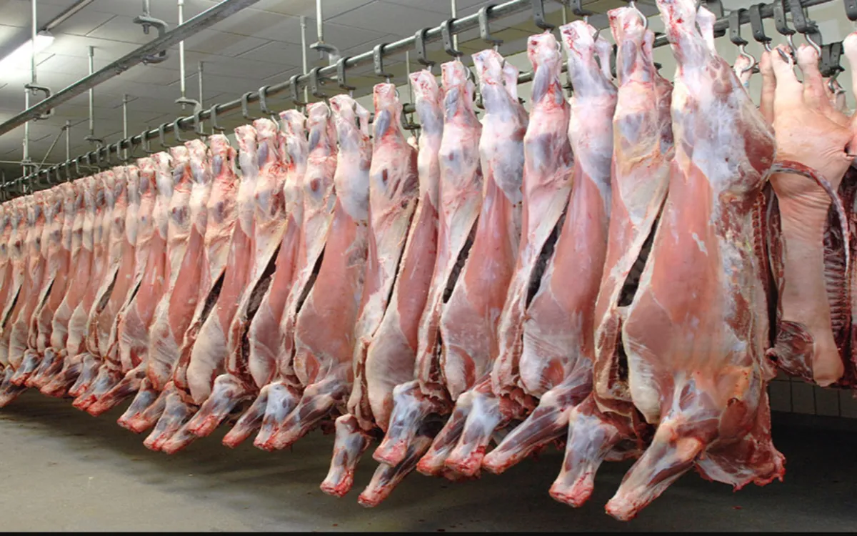 Marokkaanse leger koopt 4000 ton vlees uit Brazilië