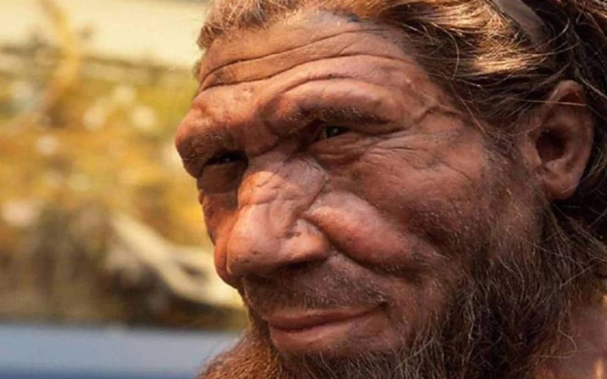 Is dit de oervader van de mens? Uitzonderlijke vondst in Marokko