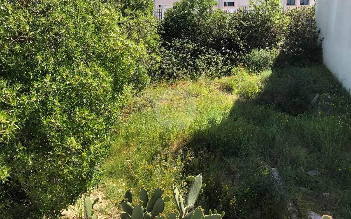 Strenge controles op onbebouwd grond in Tanger, stad wil miljoenen terug