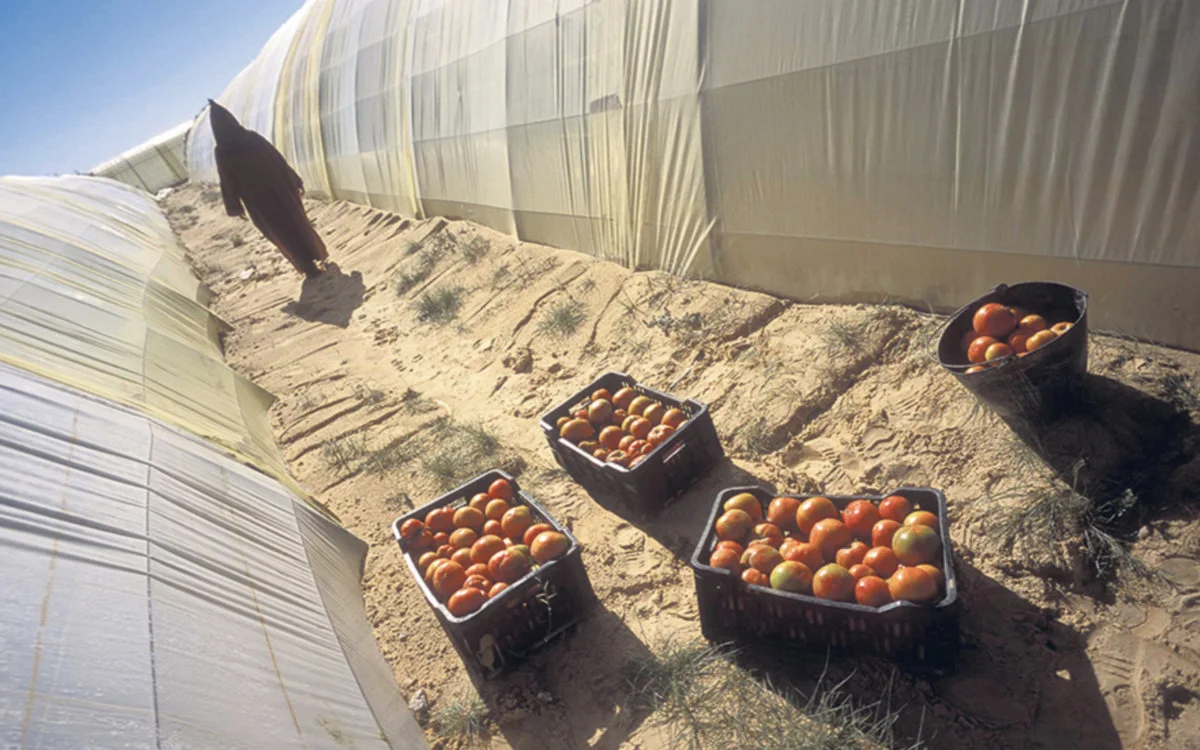 Polisario bekritiseert nieuw handelsakkoord tussen EU en Marokko