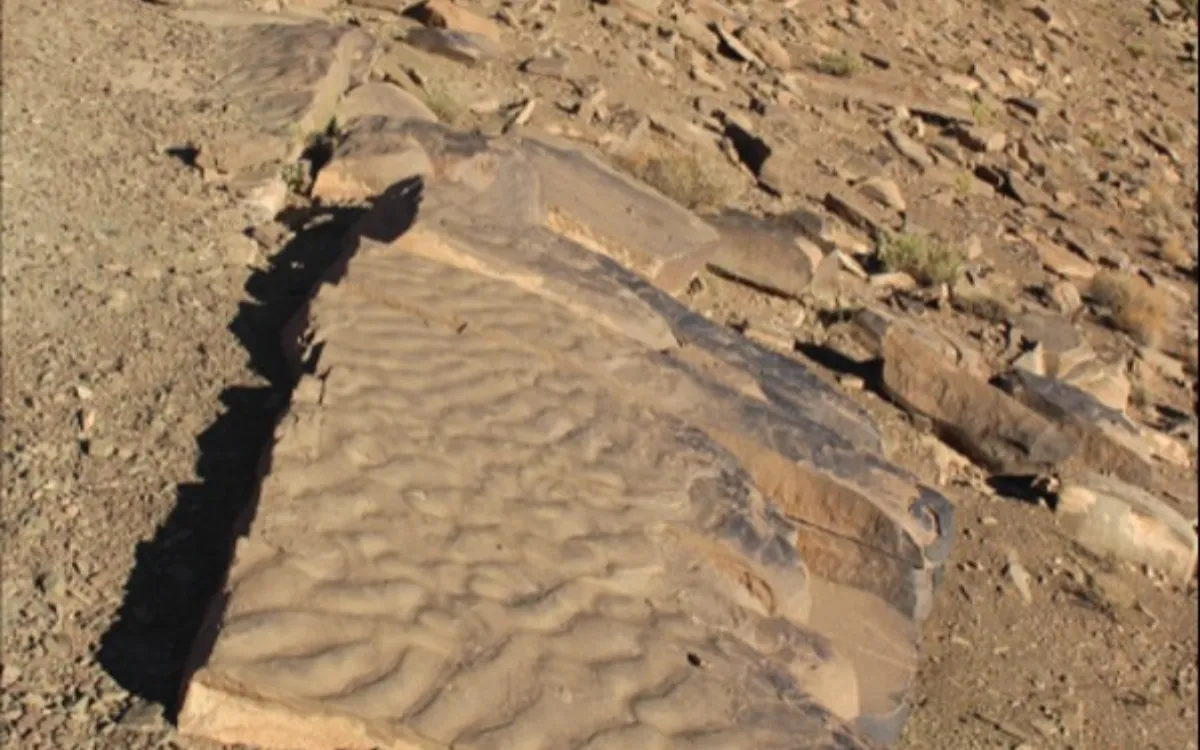 Geheim van 180 miljoen jaar oud ontdekt in Marokkaanse bergen