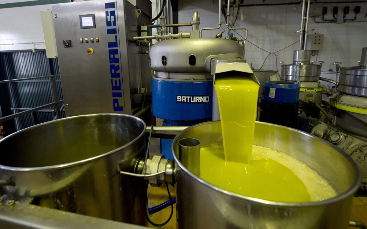 Spaanse olijfoliegigant dreigt productie naar Marokko te verplaatsen