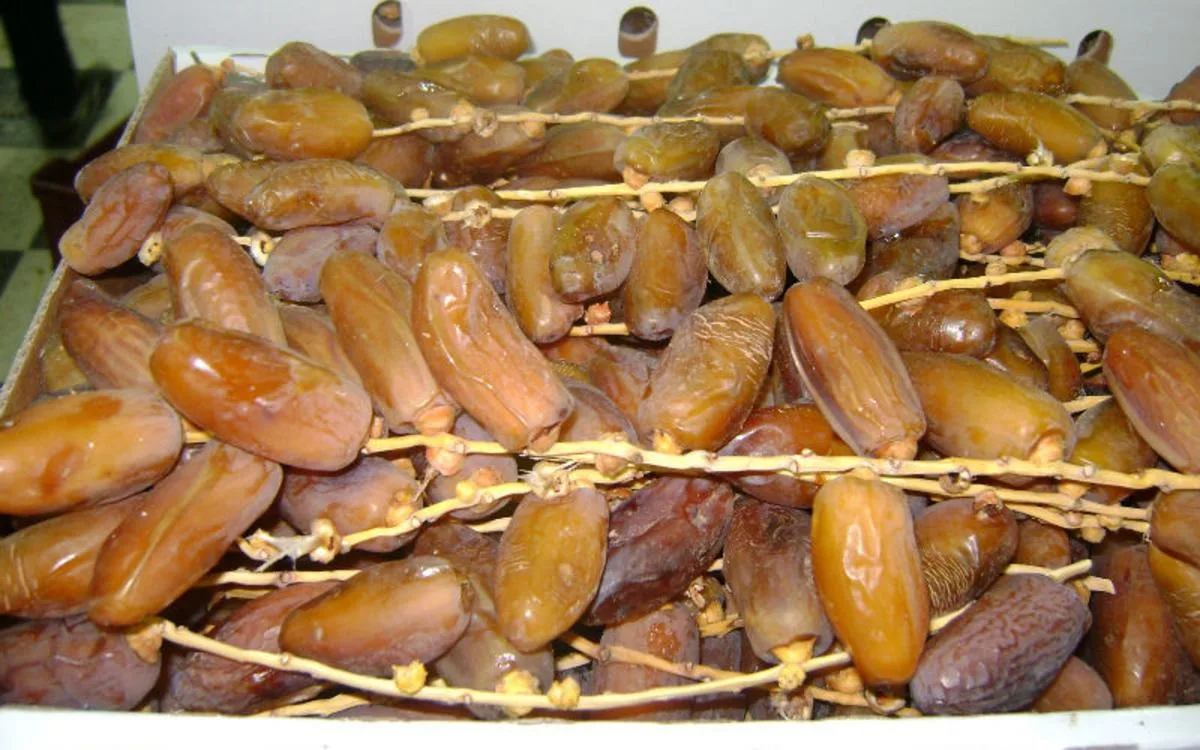 Pas op voor nep-Marokkaanse dadels!