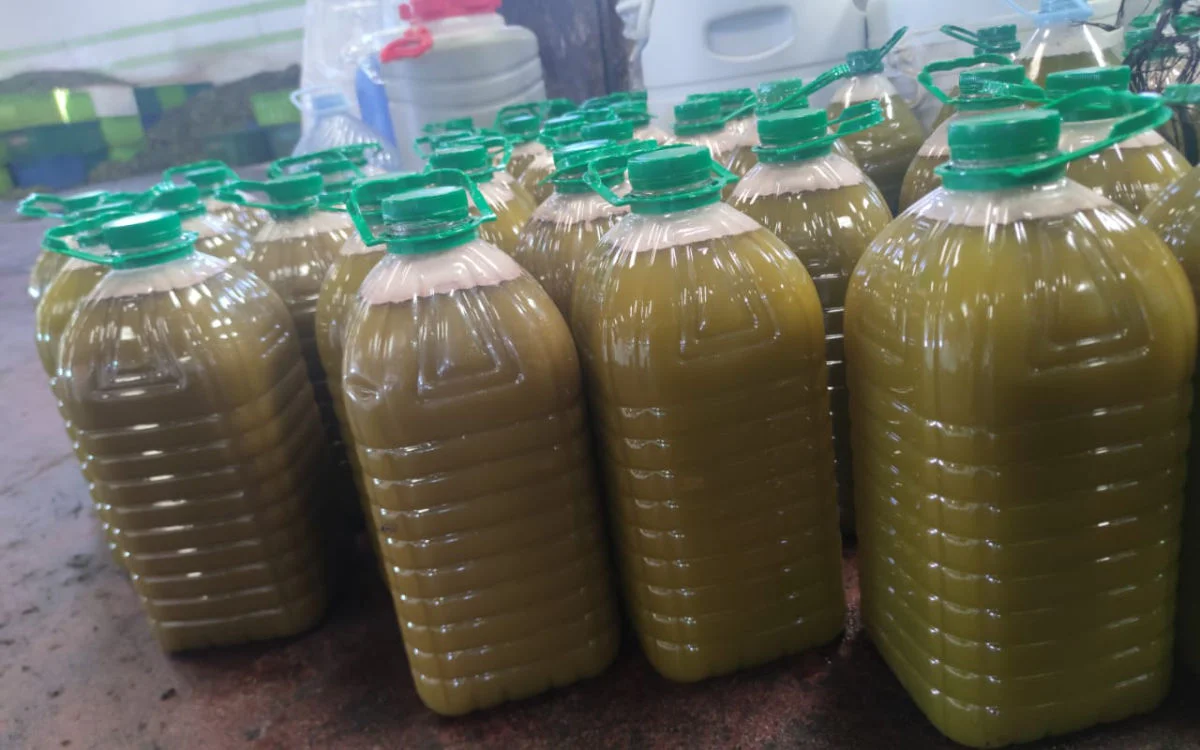 270 liter olijfolie vernietigd in Martil na video op sociale media