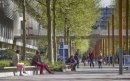 Universiteiten Nederland: discriminatie neemt sterk toe