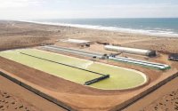 Grootste zeewierboerderij ter wereld komt in Marokko