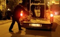 Massaslachting honden blijft doorgaan in Marokko