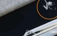 Kinderen riskeren leven om naar Spanje te gaan (video)