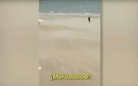 Melilla: onderzoek naar racistische uitspraken agent tegen Marokkaan (video)