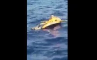 Marokkaan probeert naar Spanje te emigreren met boei (video)