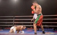 Mohamed Rabii slaat Gojko Knezevic in enkele seconden knockout (video)